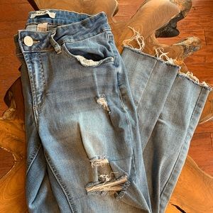Refuge Distressed Jegging